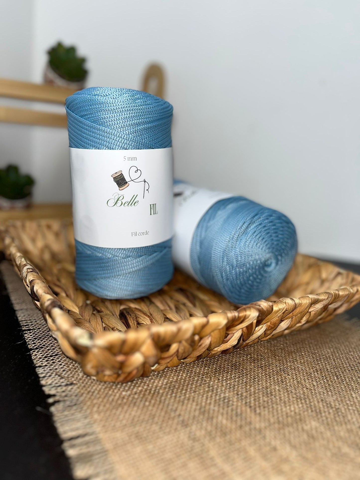 Fil corde bleu acier